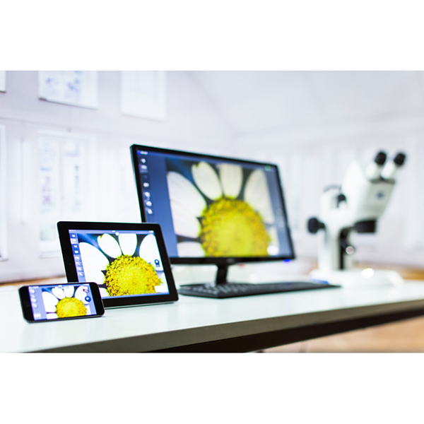 zen lite software zeiss zen lite software zeiss